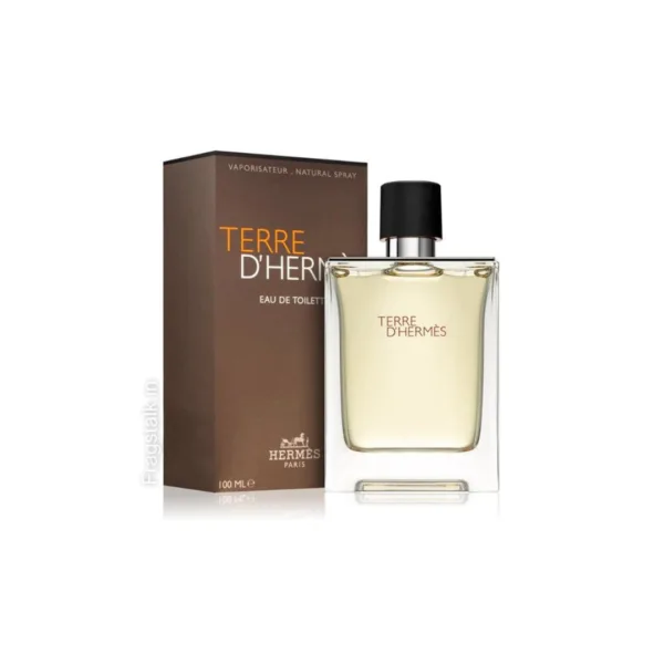 Hermes Terre De Hermes EDT 100ML